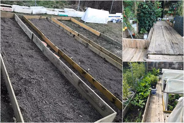 Để có được mảnh đất rộng 500m2 trồng rau, chị đã phải vất vả đào gốc cây lên, cắt nhỏ cây ra phơi khô, sau đó cho vào bao tải mang ra bãi rác của thành phố cách 40km, phải mất gần chục chiếc xe tải loại nhỏ mới hết, tự mình xúc hết sỏi đá, mua khoảng 20 xe tải đất chuyên dùng trồng cây về đổ lên bề mặt khu vườn. Toàn bộ quá trình cải tạo kéo dài hơn hai năm mới gần xong, đều được chị tự tay làm một mình. Chị Hương kể.