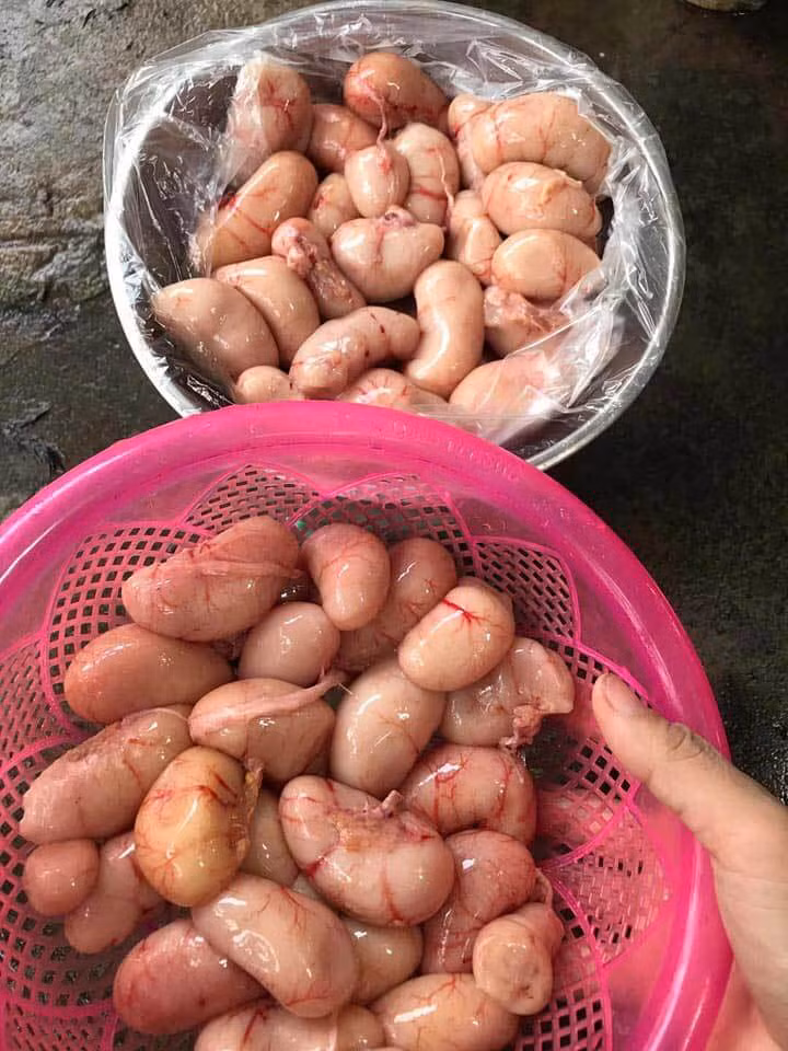Dai gia Viet 