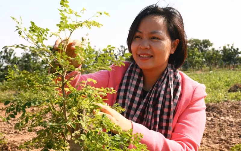  Nguyễn Thị Thu (sinh năm 1988), Giám đốc Hợp tác xã Tâm An (huyện Thường Tín, Hà Nội), người xây dựng phát triển sản phẩm bột rau củ sấy lạnh đạt tiêu chí Chương trình Mỗi xã một sản phẩm (OCOP) 4 sao. Chị vinh dự được Chủ tịch UBND thành phố Hà Nội tặng danh hiệu “Người tốt, việc tốt” năm 2019… 