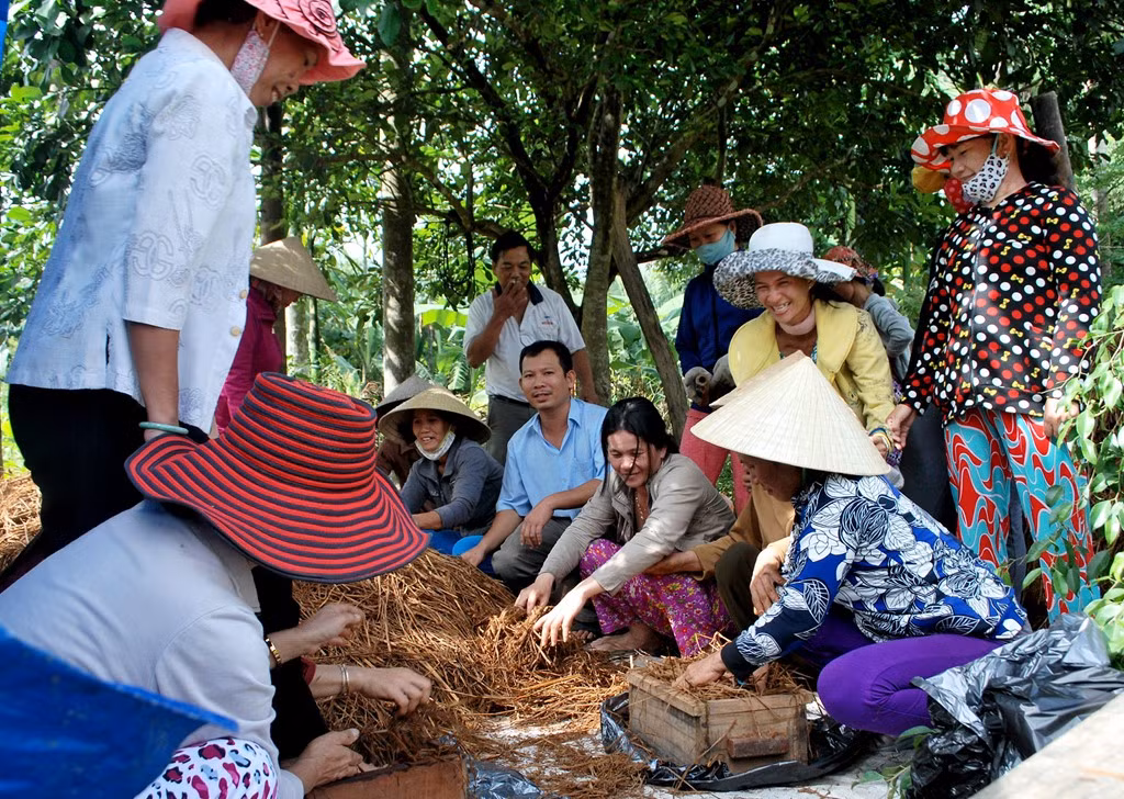 Không chỉ sản xuất ở hợp tác xã, các cấp Hội nông dân Quảng Ngãi còn mời anh về các địa phương hướng dẫn kỹ thuật trồng nấm linh chi, nấm bào ngư, nấm rơm cho nông dân. Trong 5 năm qua, anh đã "cầm tay chỉ việc" cho hàng trăm lượt nông dân trồng nấm, cải thiện thu nhập trên địa bàn tỉnh.