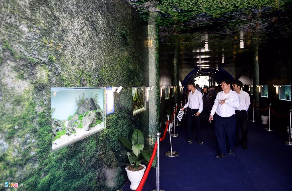 Điểm nhấn của hội chợ năm nay là triển lãm cá cảnh TP.HCM được tổ chức lần đầu tiên theo hình thức thiết kế thủy cung .