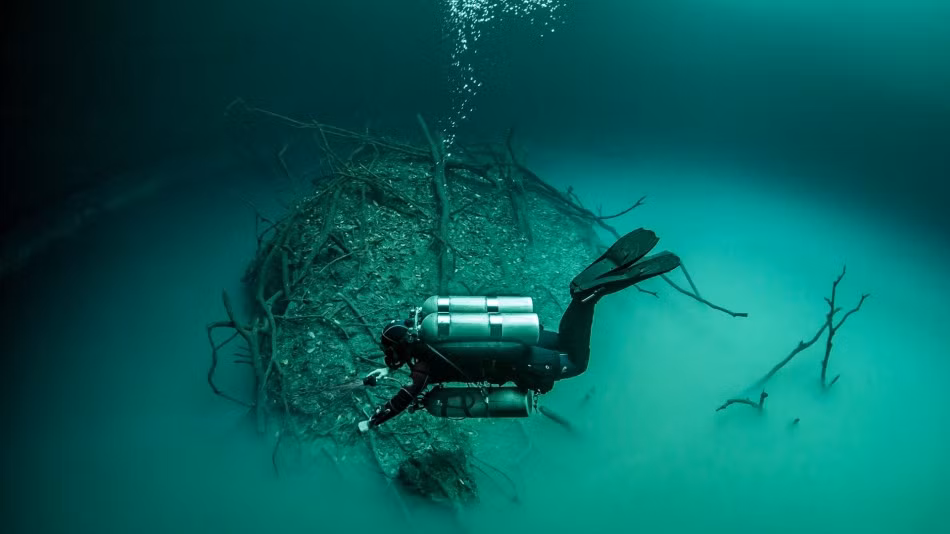 Không chỉ có vậy, ở hai bên bờ Cenote Angelita còn có những thân cây đổ rạp trông hệt như một nơi chốn trong những vùng đất truyền thuyết. (Nguồn Sina)