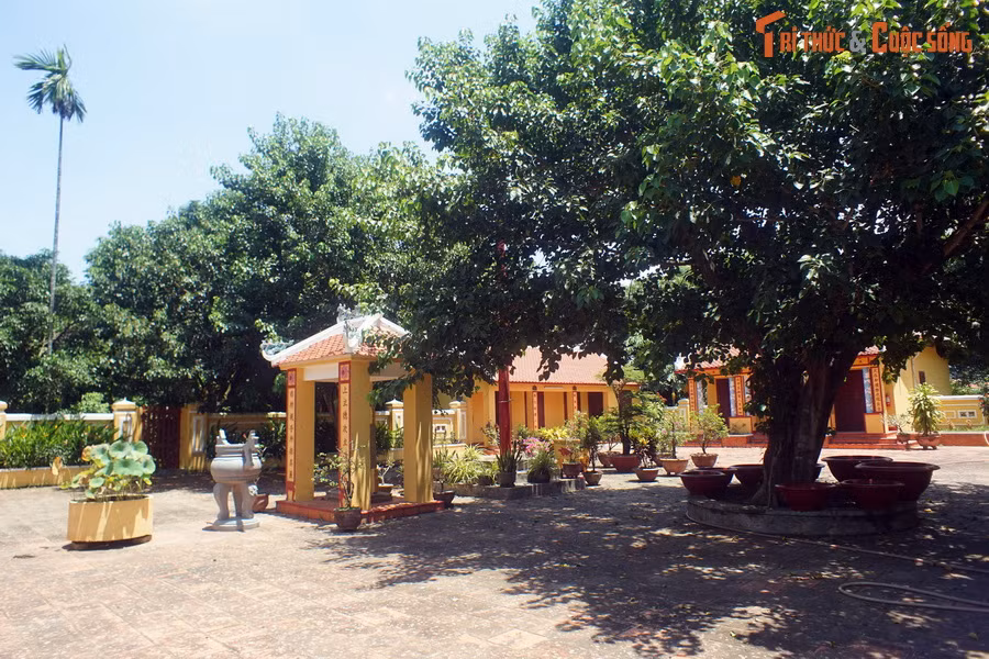 Trên bản đồ du lịch, cùng với thành cổ Diên Khánh, văn miếu Diên Khánh là một điểm đến đặc sắc dành cho những du khách ưa khám phá văn hóa, lịch sử Việt Nam ở khu vực ngoại vi thành phố Nha Trang.