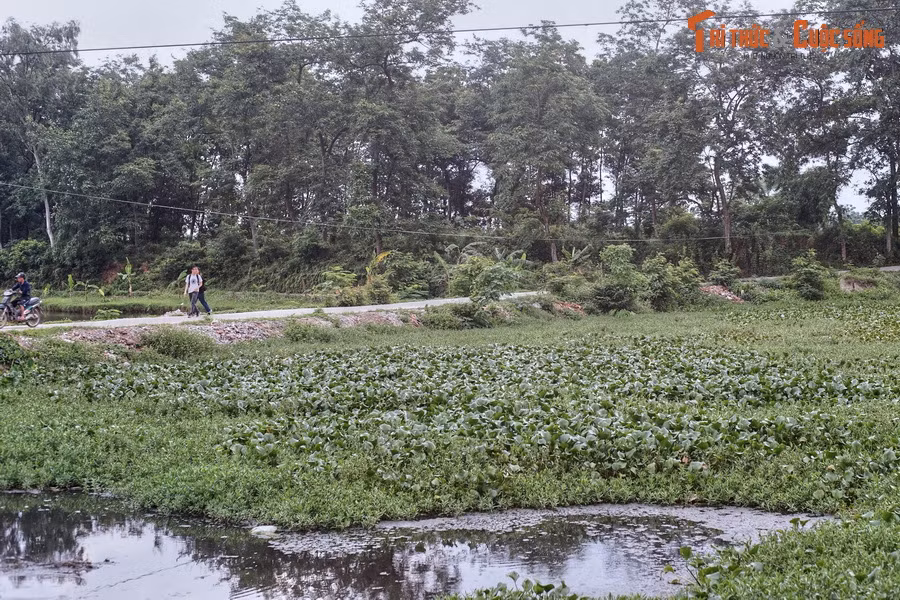 Mỗi vòng thành đều có hào nước bao quanh bên ngoài, hào rộng trung bình từ 10 m đến 30 m, có chỗ còn rộng hơn. Các vòng hào đều thông với nhau và thông với sông Hoàng.