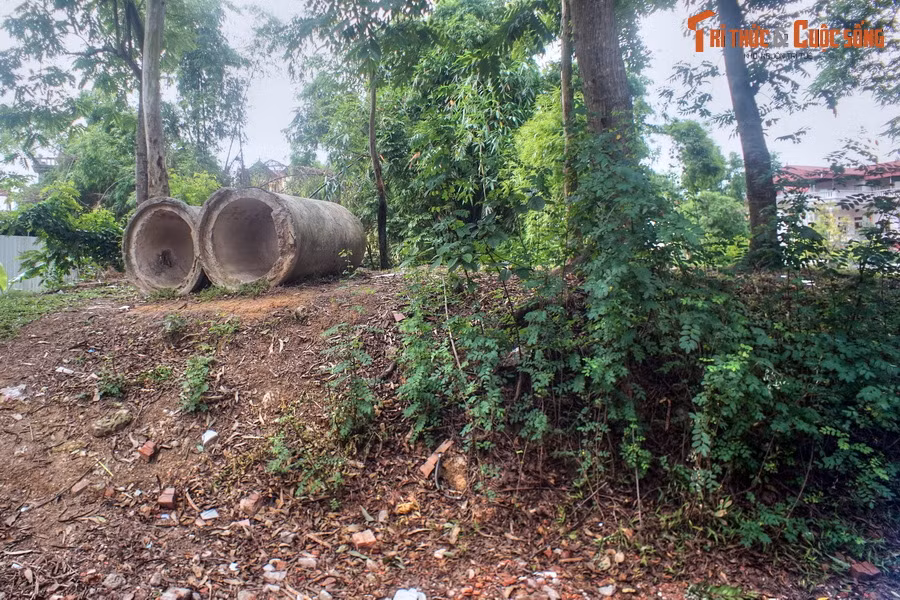 Thành ngoại cũng không có hình dáng rõ ràng, dài hơn 8.000m, cao trung bình 3–4 m (có chỗ tới hơn 8 m).