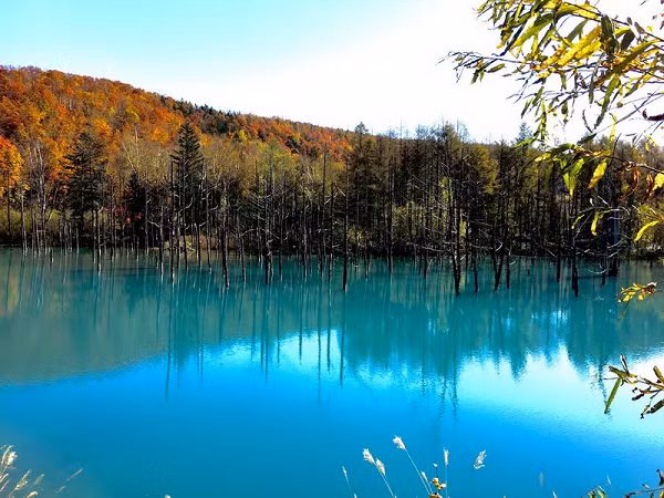 Nằm ở Đông Nam thị trấn Bieigawa, Hokkaido với màu xanh biếc biến đổi liên tục, hồ nước Xanh là một thắng cảnh hấp dẫn thu hút rất nhiều khách du lịch ở Nhật Bản. Nước trong hồ có màu sắc khác nhau khi nhìn ở các góc độ khác nhau.
