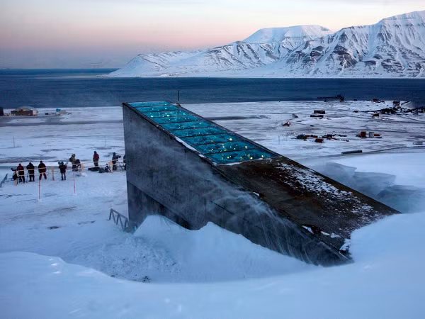 Căn hầm này được xây dựng trong lòng một ngọn núi gần thành phố Longyearbyen trên đảo Spitsbergen thuộc quần đảo Svalbard của Na Uy, cách Cực Bắc khoảng 1.000km.
