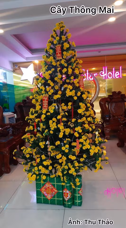 Mặc dù không hợp lý cho lắm nhưng cây cảnh chơi Tết theo cách này vẫn đảm bảo được tính thẩm mỹ. Ảnh: Thu Thảo