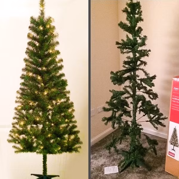 Phải chăng cây thông Noel này đã bị “vơi đi đôi chút” do quá trình vận chuyển?