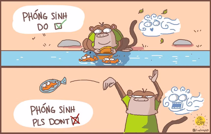 Trước đó, nhiều diễn đàn cảnh báo hành động này sẽ gây hậu quả cá chết khi vừa tiếp nước. Tuy nhiên, nhiều người vẫn thả cả từ trên cao vì "tiện tay". Ảnh: Vẽ bậy.