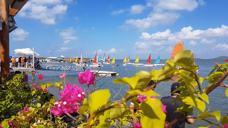 VDV Viet Nam vo dich giai dua thuyen buom Vung Tau 2019-Hinh-7