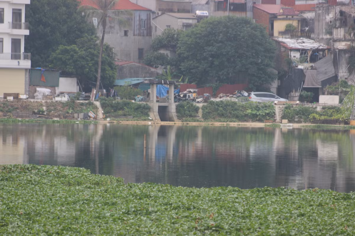 Dự án cải tạo hồ Linh Quang có từ năm 2004, tuy nhiên, do thiếu nguồn vốn và chậm giải phóng mặt bằng nên phải tạm dừng. Từ năm 2013 đến năm 2015 do chưa được thành phố bố trí vốn, dự án tạm dừng triển khai. Tình trạng chậm tiến độ của dự án gây ô nhiễm và ảnh hưởng đến người dân.