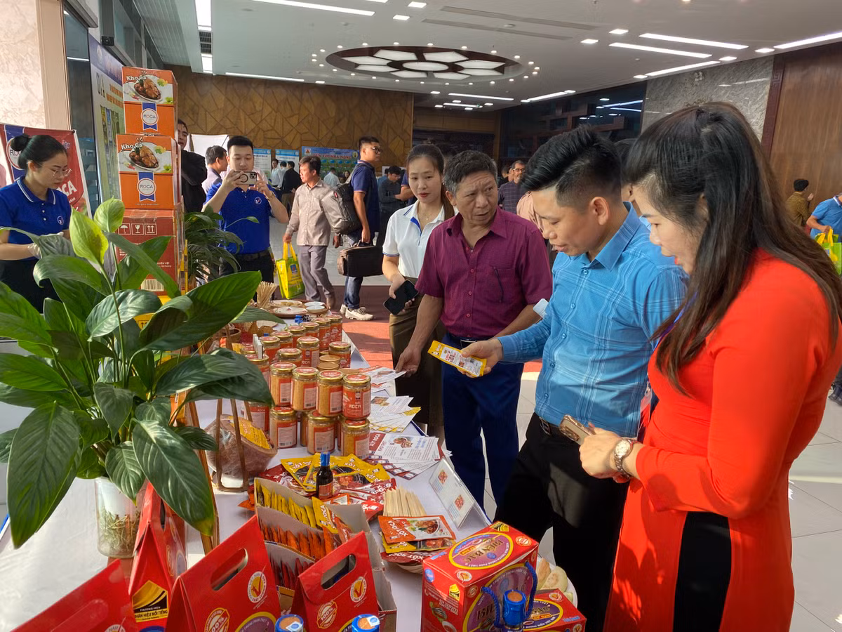 28 tỉnh, TP phía Bắc về Hải Dương trao đổi kinh nghiệm sản xuất nông nghiệp - Hình 5 28 tinh, TP phia Bac ve Hai Duong trao doi kinh nghiem san xuat nong nghiep-Hinh-5