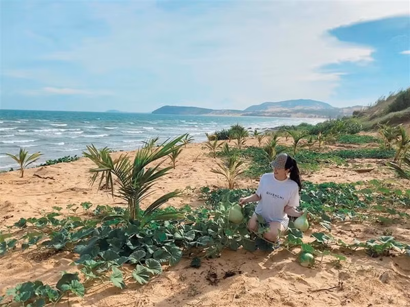 Nữ ca sĩ khiến khán giả trầm trồ về khối tài sản khi bật mí dự án đất biển mà gia đình cô sở hữu có diện tích rộng lớn.