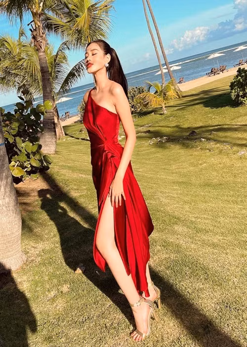 Trong các hoạt động mới đây, đại diện Việt Nam thường lựa chọn trang phục màu sắc rực rỡ như hồng, xanh, đỏ. Ảnh: FB Đỗ Thị Hà