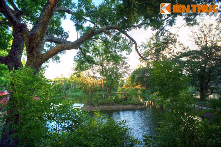 Tiểu đảo 3 nằm phía bên trái hồ sen, là một hòn đảo nhỏ có trồng hai cây bồ đề.