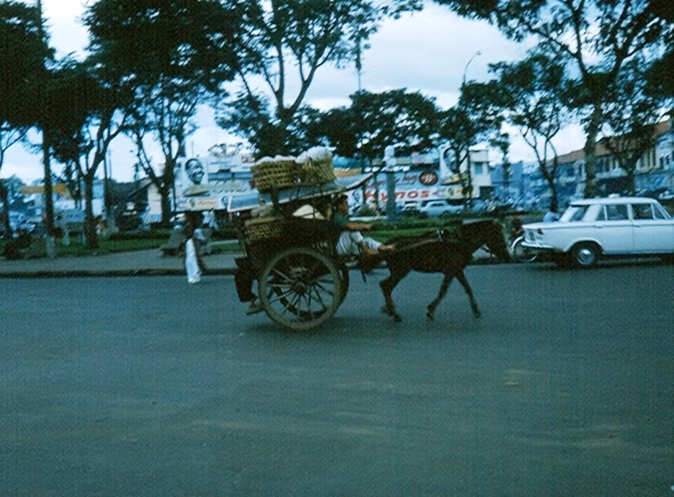 Phương tiện thô sơ như xe ngựa kéo cũng không thiếu.