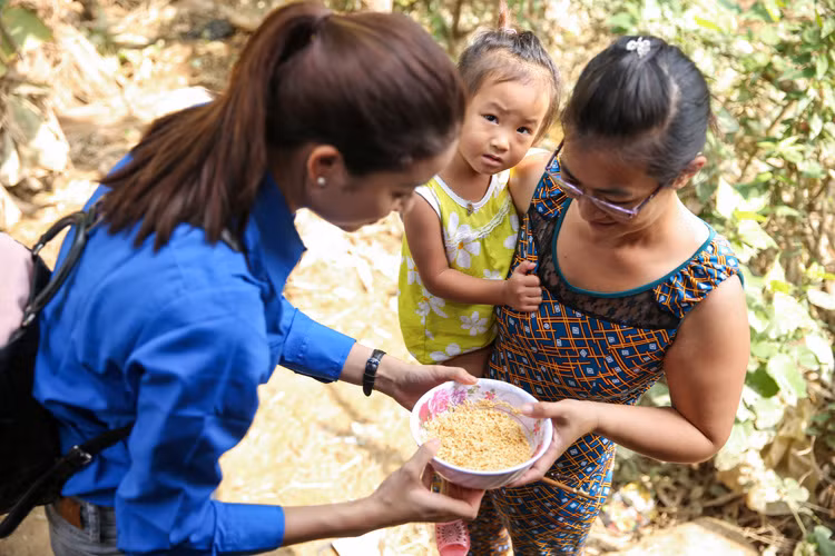 Tại những nơi này, hoa hậu gốc Hải Phòng được biết tình hình nhiều nhà ngập sâu hơn 2m, toàn bộ vật dụng bị cuốn trôi do lũ đến quá nhanh… 