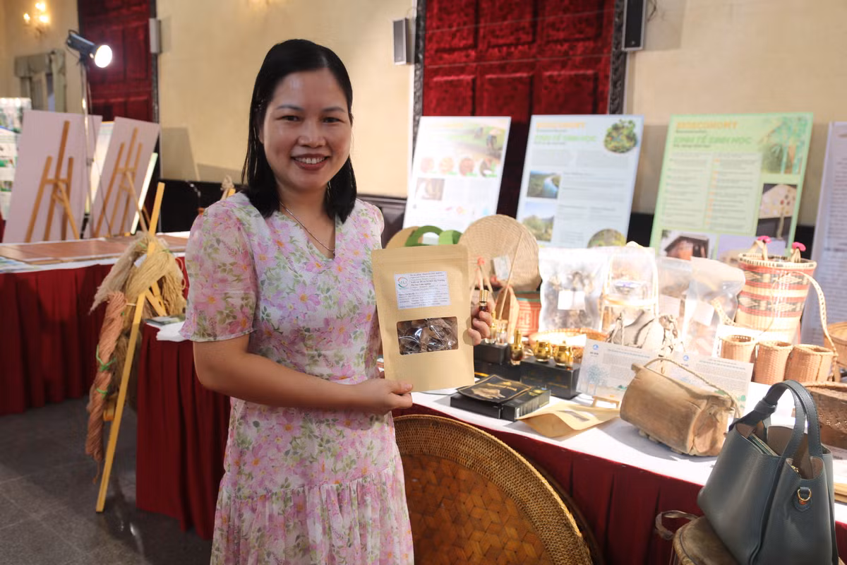 Tôn vinh đóng góp của nhà khoa học với rừng, biến đổi khí hậu - Hình 11 Ton vinh dong gop cua nha khoa hoc voi rung, bien doi khi hau-Hinh-11