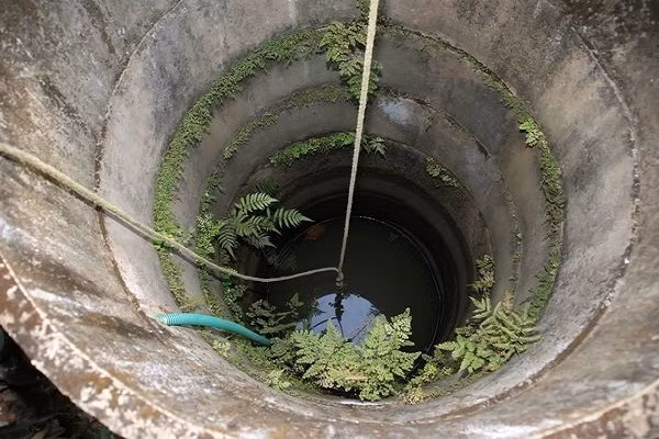 Nghi chong ngoai tinh, vo tra thu tan doc doat mang 2 dua tre