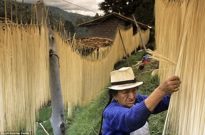 Người phụ nữ trong ảnh đang phơi khô nguyên liệu làm mũ Panama ở Ecuador. Ảnh: Luis Sanchez Davilla.