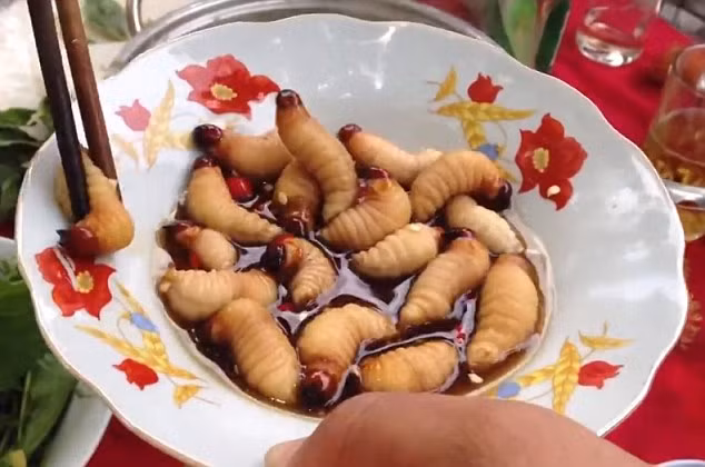 Món nhộng sống tẩm xì dầu và ớt tươi.