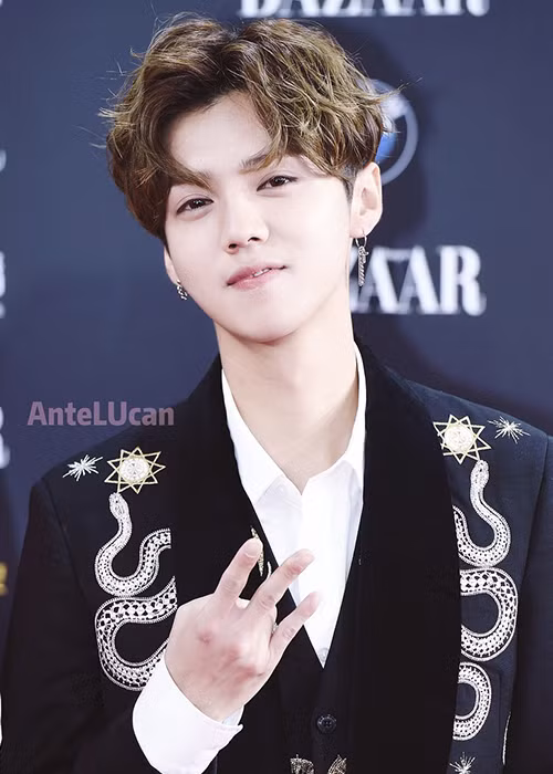 Luhan sinh năm 1990 tại Bắc Kinh. Anh vốn là cậu ấm của một gia đình giàu có và có truyền thống gia giáo. Thậm chí, Luhan được mệnh danh là “Thiếu gia Bắc Kinh”. Ảnh: Instagram nhân vật