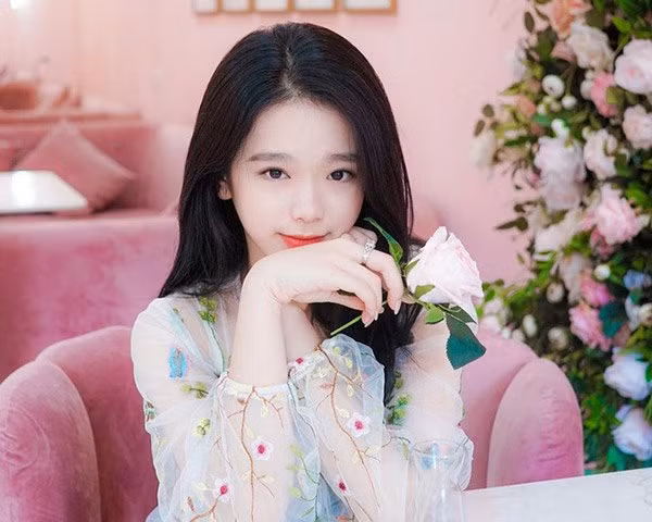 Linh Ka sau đó liên tục dính scandal vì phát ngôn, hình ảnh gây sốc, đặc biệt phát ngôn "mua điểm",...