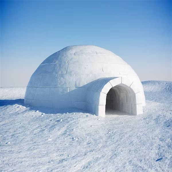 Họ xây dựng những chiếc lều tuyết (Igloo), dáng tròn, được cắt vuông vắn làm từ những khối băng để trú ngụ tránh cái lạnh xé da, xé thịt.