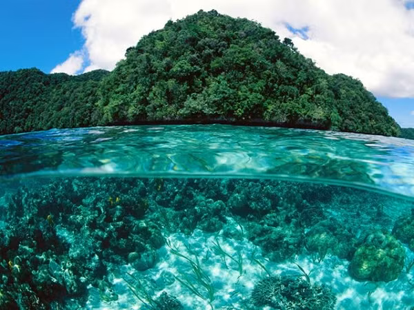 Đối với nền văn minh nhân loại hiện đại, Quần đảo đá, Palau là một khu vực xa xôi và bí ẩn của thế giới. Tuy nhiên, vào một thời điểm nào đó trong vài nghìn năm qua, chúng ta có thể chắc chắn rằng con người đã đặt chân đến đây. Bởi các nhà khảo cổ học đã tìm thấy bằng chứng về 'người tí hon' - một nhánh của loài người từng sống ở đó.