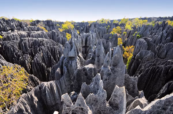 Vườn quốc gia Tsingy de Bemaraha, Madagascar là mê cung núi đá độc đáo vẫn chưa được nhiều người biết tới ngoại trừ một vài đường mòn, cây cầu, hay những điểm tham quan xung quanh. Còn lại, phần lớn công viên quốc gia ở Madagascar chưa hề có dấu chân người.