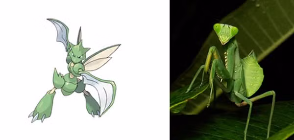 Scyther được lấy cảm hứng từ loài bọ ngựa trong thực tế với cặp mắt xanh và đôi càng sắc nhọn.
