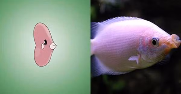 Luvdisc có thiết kế rất đơn giản, phần thân hình trái tim hồng toàn tập cùng đôi môi quyến rũ được cho là rất giống với loài cá tai tượng.