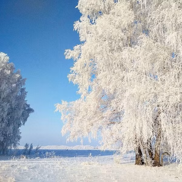 Vào năm 1974, nhiệt độ thấp kỷ lục -71°C được ghi nhận tại làng Oymyakon phía đông bắc Siberia, mà nhiệt độ thấp nhất trong một khu vực có người sinh sống từ trước đến nay. Ở nhiều khu vực của Siberia, băng trên mặt đất không bao giờ tan quá 30cm.