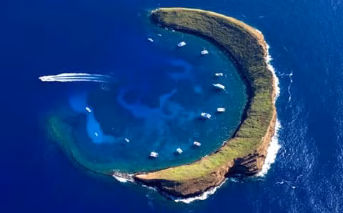 Không chỉ là nơi neo đậu cho tàu thuyền tránh bão, đảo Molokini còn là nơi có những rạn san hô tuyệt đẹp cùng nhiều loài động thực vật quý hiếm phân bố trên hòn đảo. Ảnh: fourwindsmaui.