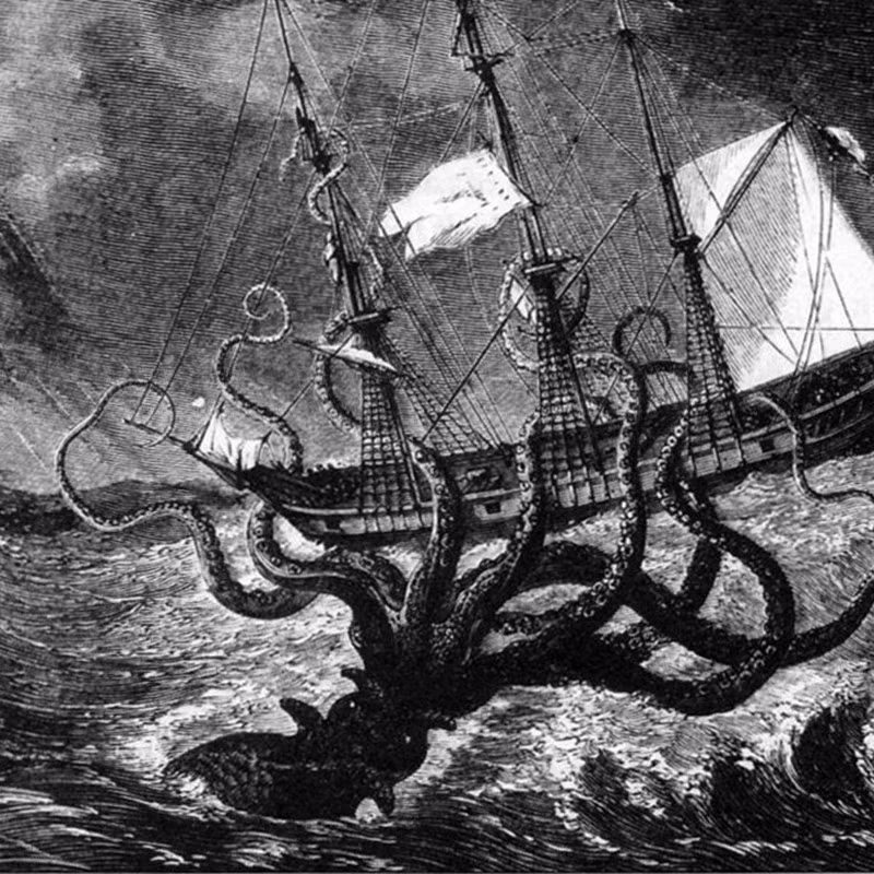 Theo mô tả, quái vật Kraken có thể phát triển chiều dài cơ thể từ 13 - 15m và nặng vài tấn. Chúng có nhiều xúc tu ở miệng. Một số thủy quái này còn có thể đạt tới chiều dài 24m.