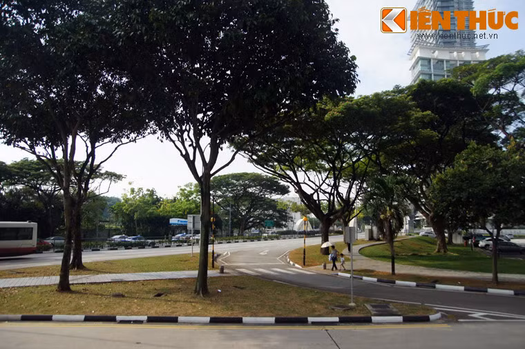  10. Tổ chức ngày hội trồng cây toàn quốc. Từ năm 1971, chính phủ Singapore quyết định chọn một ngày trong tuần thứ nhất của tháng 11 là Ngày Trồng cây toàn quốc. Đây thực sự là một ngày hội của cả nước, với nhiều hoạt động ý nghĩa diễn ra bên cạnh nhiệm vụ chính là trồng cây.