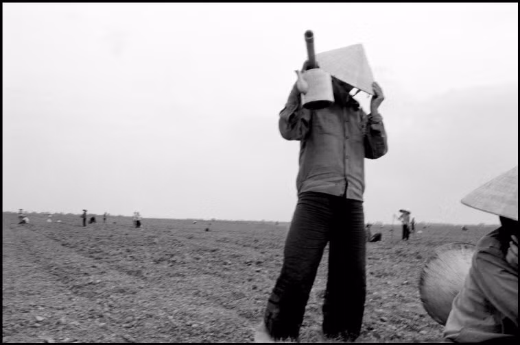 Những người nông dân trên cánh đồng ngô mùa gieo hạt. Ảnh: Larry Towell - Magnumphotos.com