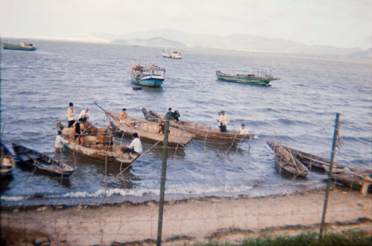 Bến cá Quy Nhơn. Ảnh: 19engrvn.org.