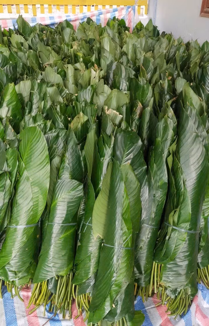 Lang nghe banh chung lon nhat Nghe An hoi ha vao vu Tet-Hinh-6