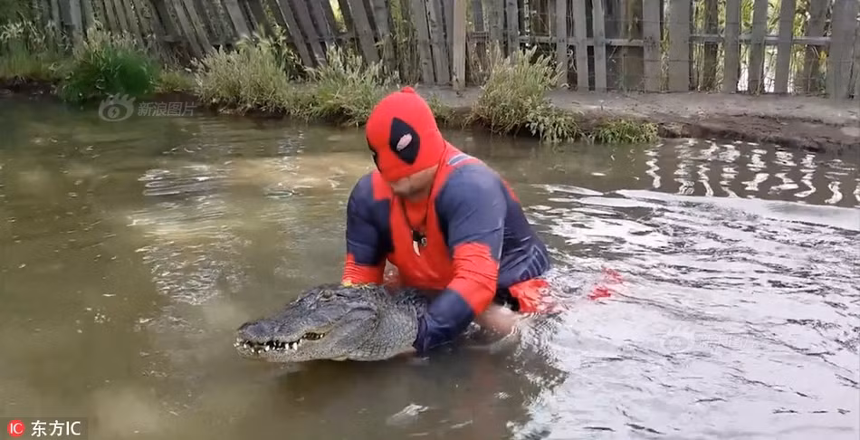 Trước khi nhảy xuống ao bắt cá sấu khổng lồ, anh Jason cải trang thành quái nhân Dead Pool, một quái nhân sở hữu sức mạnh tái tạo cơ thể vượt trội, gần như bất tử trong bộ phim nổi tiếng cùng tên. (Nguồn Sina)