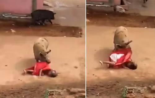 Bà Bibi Jan sau đó cũng được đưa ngay vào bệnh viện để điều trị. Được biết, chấn thương của bà Bibi Jan tập trung chủ yếu trên mặt và cánh tay, không đe dọa đến tính mạng.