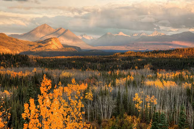 4. Khu bảo tồn Quốc gia Denali, Alaska: Công viên Quốc gia Denali rộng hơn 2.4 triệu ha, cả một vùng thiên nhiên hoang dã, với những thảm thực vật đa dạng, phong phú. Người ta công viên này như một chiếc vương miện quý giá và viên ngọc của nó là đỉnh núi cao nhất Denali ở độ cao 704 m. Công viên còn là ngôi nhà chung của tất cả các loại động vật hoang dã bản địa bao gồm gấu, sói, hươu, nai, và dê cừu.
