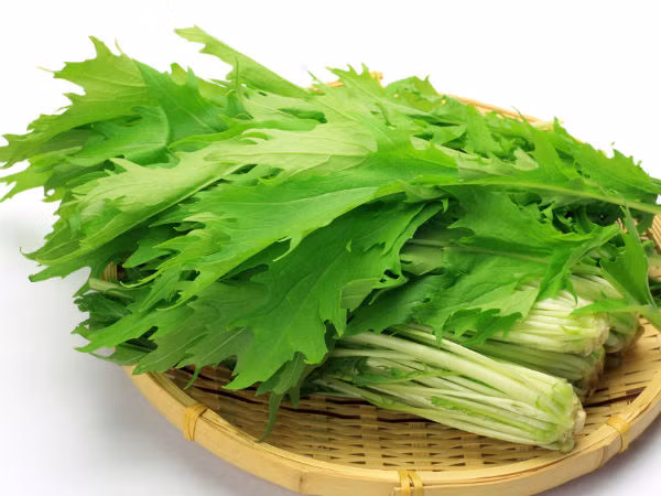 Không chỉ là một nguồn thực phẩm giàu magiê, canxi và axit folic, rau mù tạt còn chứa rất nhiều vitamin K. 100g rau mù tạt chứa 257,5 mcg vitamin K.