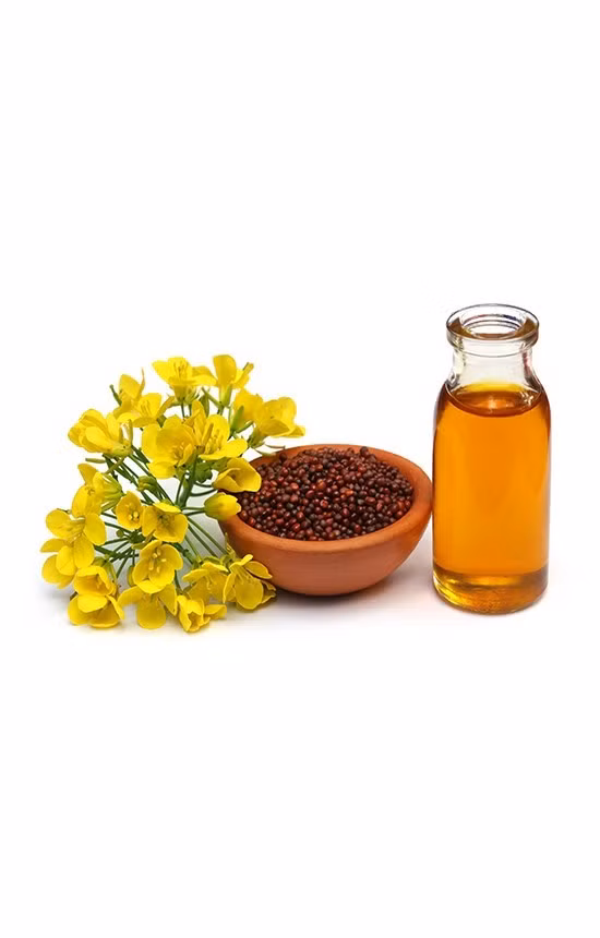 Đặc biệt, dầu mù tạt giàu diacylglycerol có tác dụng giảm mỡ thừa rất tốt, nên có lợi cho những người đang muốn giảm cân. Ảnh: wp.