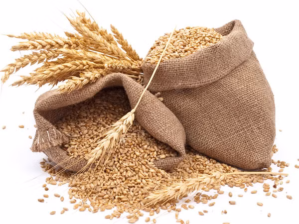 Lúa mì, lúa mạch. Những người nhạy cảm với gluten không nên ăn hai loại này vì nó chứa nhiều chất xơ sẽ để lại hơi trong dạ dày cùng với những cơn đau bụng và tiêu chảy.
