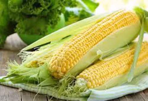 Ăn ngô. Từ lâu ngô đã được biết đến là khắc tinh của ung thư phổi, vì thế mà hãy dùng ngô tươi thay vì các sản phẩm chế biến liên quan tới nó. Do ngô tươi có chứa beta krytoxanthin- Chất chống oxy hóa mạnh mẽ giảm nguy cơ ung thư phổi hiệu quả.