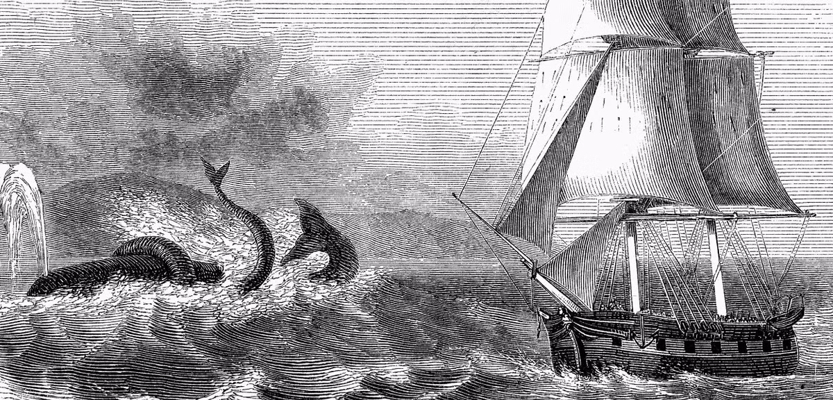 Không những vậy, nhiều lúc thủy quái Kraken còn dùng xúc tu bao trọn tàu thuyền rồi kéo con tàu xuống đáy biển sâu.