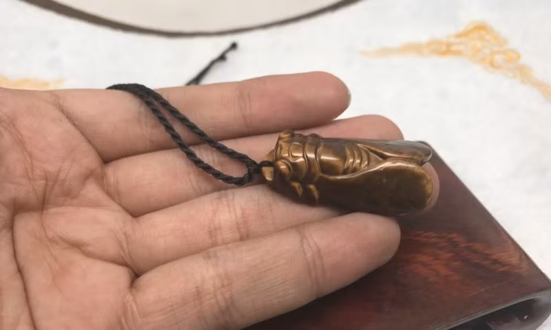 Chính vì vậy, nhiều bậc phụ huynh mua cho con đang đi học dây chuyền đeo cổ có mặt là Ngọc Thiền với mong muốn đường học hành của con thuận lợi, thi cử đạt thành tích tốt.