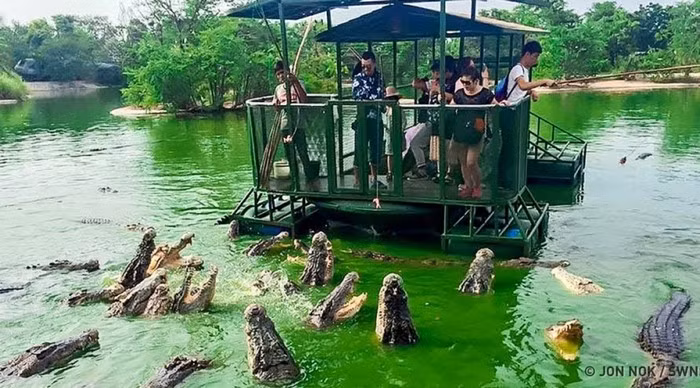 Theo các chuyên gia, mỗi con cá sấu ở đảo Ramree nặng khoảng vài trăm kg. Do vậy, chúng có thể dễ dàng đoạt mạng người nếu nạn nhân sơ xảy rơi xuống địa bàn của chúng.